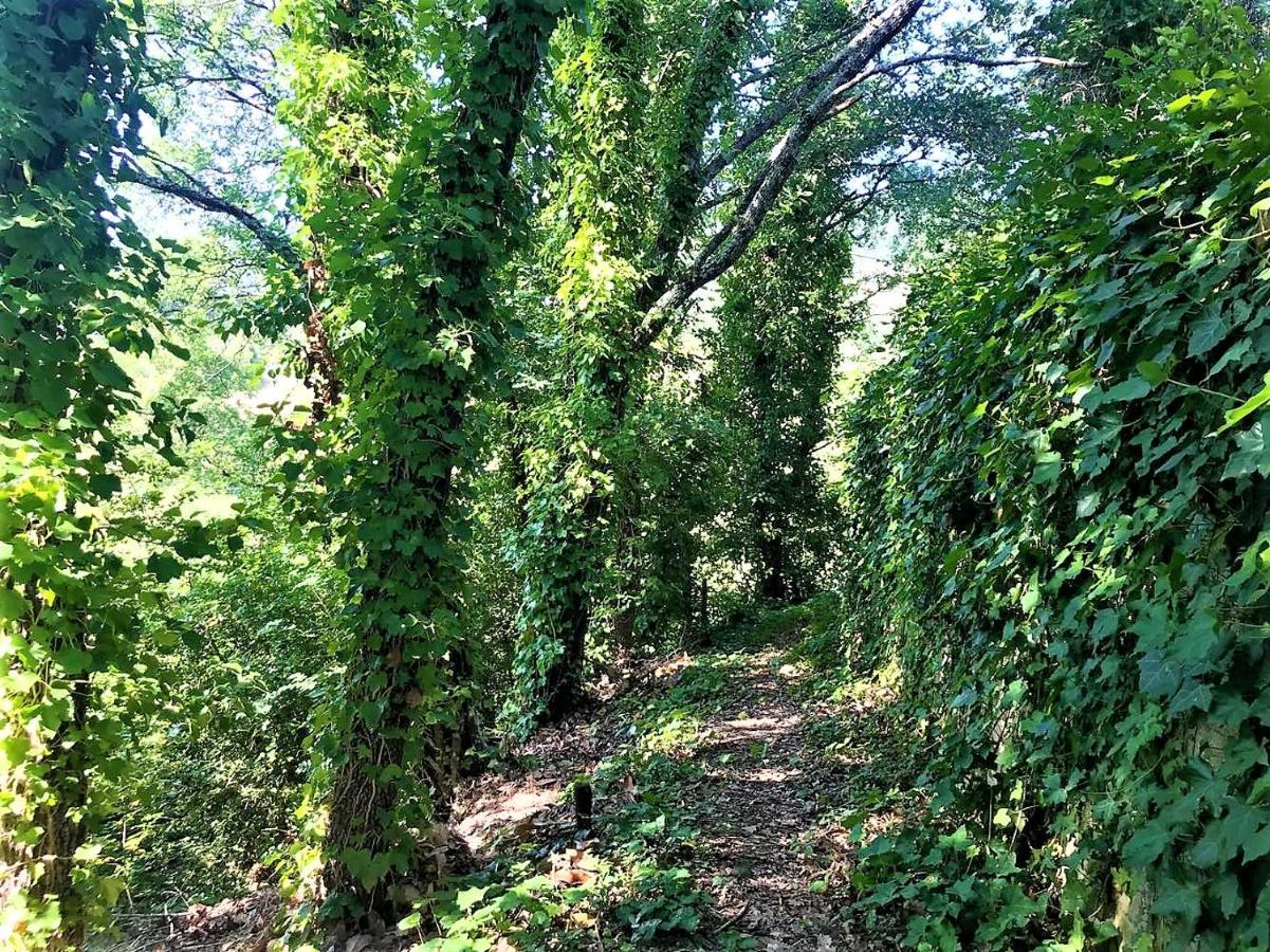Danya Country Villa Sansepolcro Kültér fotó