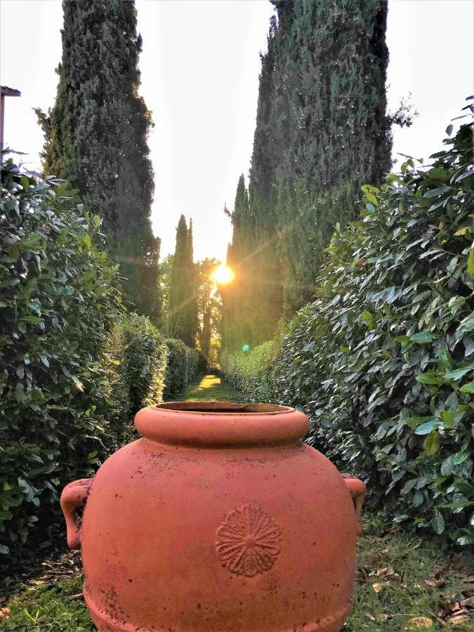 Danya Country Villa Sansepolcro Kültér fotó